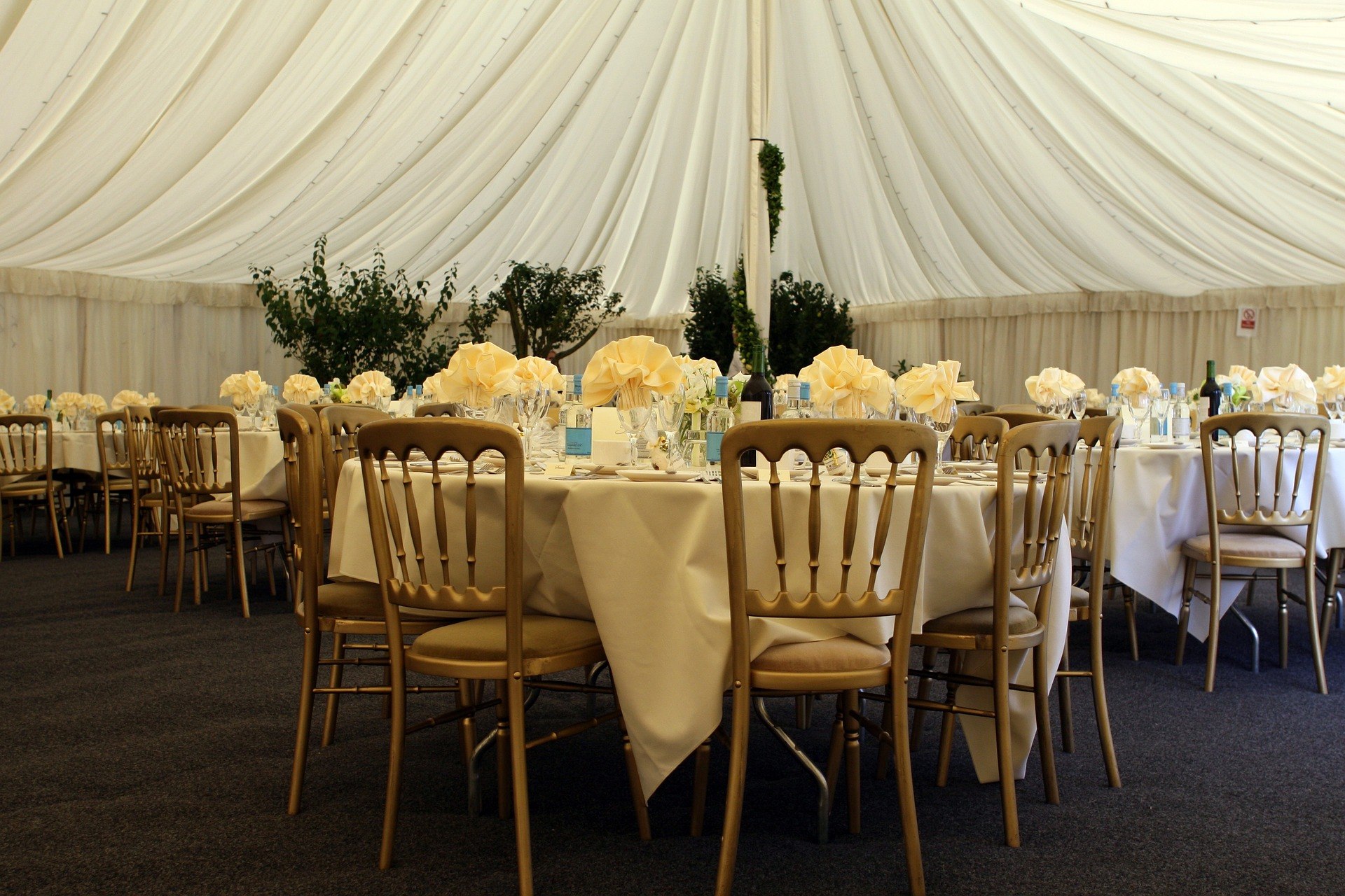 Outdoor Wedding Essentials Outdoor Wedding Essentials